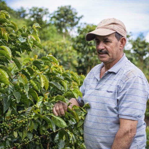 Costa Rica Ricardo Calderon