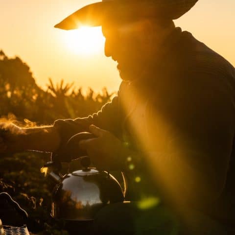 Brazil João Hamilton 2024