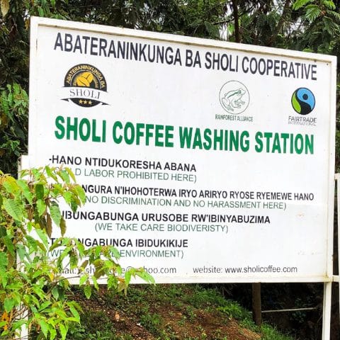 Rwanda Sholi Microlot