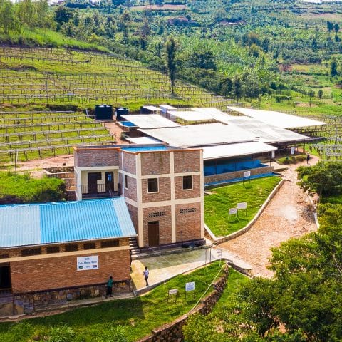 Rwanda Sholi Natural