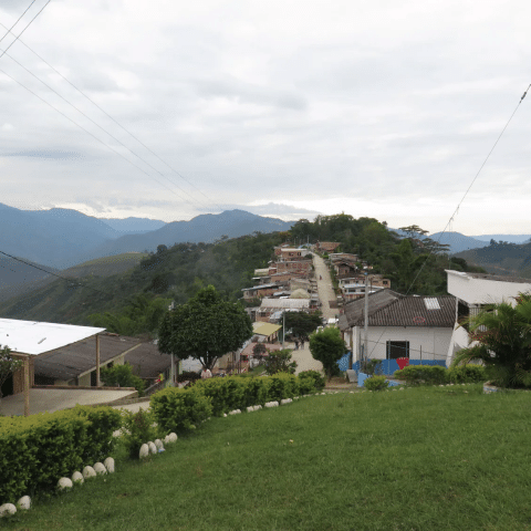 Colombia Finca Pedregal