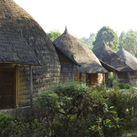 Ethiopia Sidamo Bera