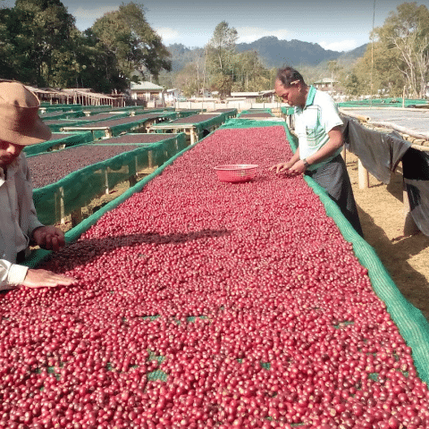 Myanmar Kyauk Ku Pyin