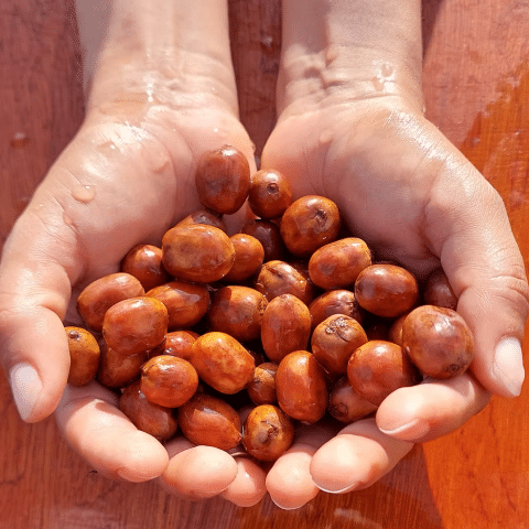 Nicaragua Elixir Microlot